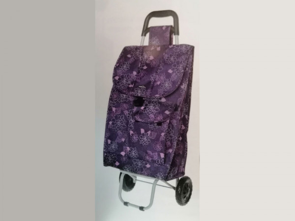 ΚΑΡΟΤΣΙΑ ΛΑΪΚΗΣ